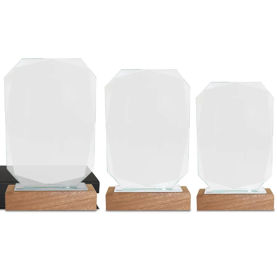 Trophée premium en verre sur socle en bois